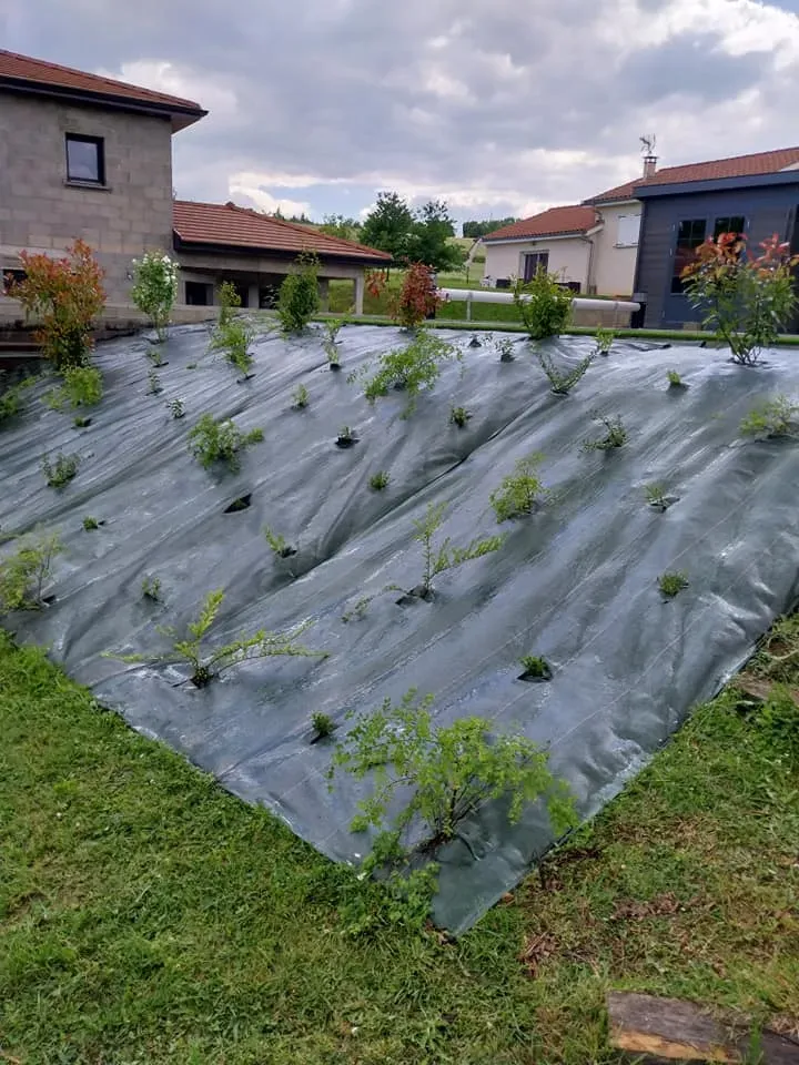 realisation LA paysage (11)