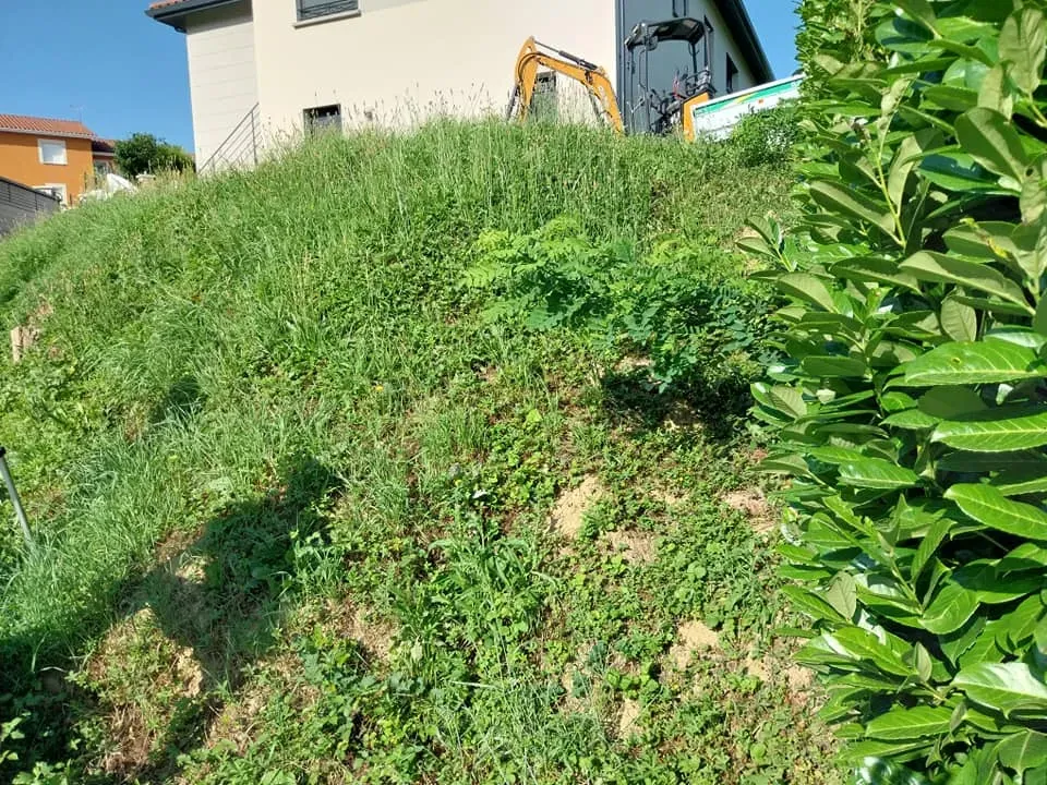 523107549_669060119484570_3797302784534336903_n